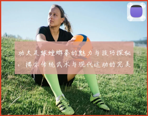 功夫足球螳螂拳的魅力与技巧探秘，揭示传统武术与现代运动的完美结合