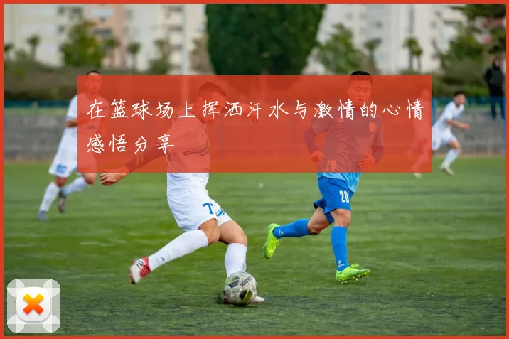 在篮球场上挥洒汗水与激情的心情感悟分享